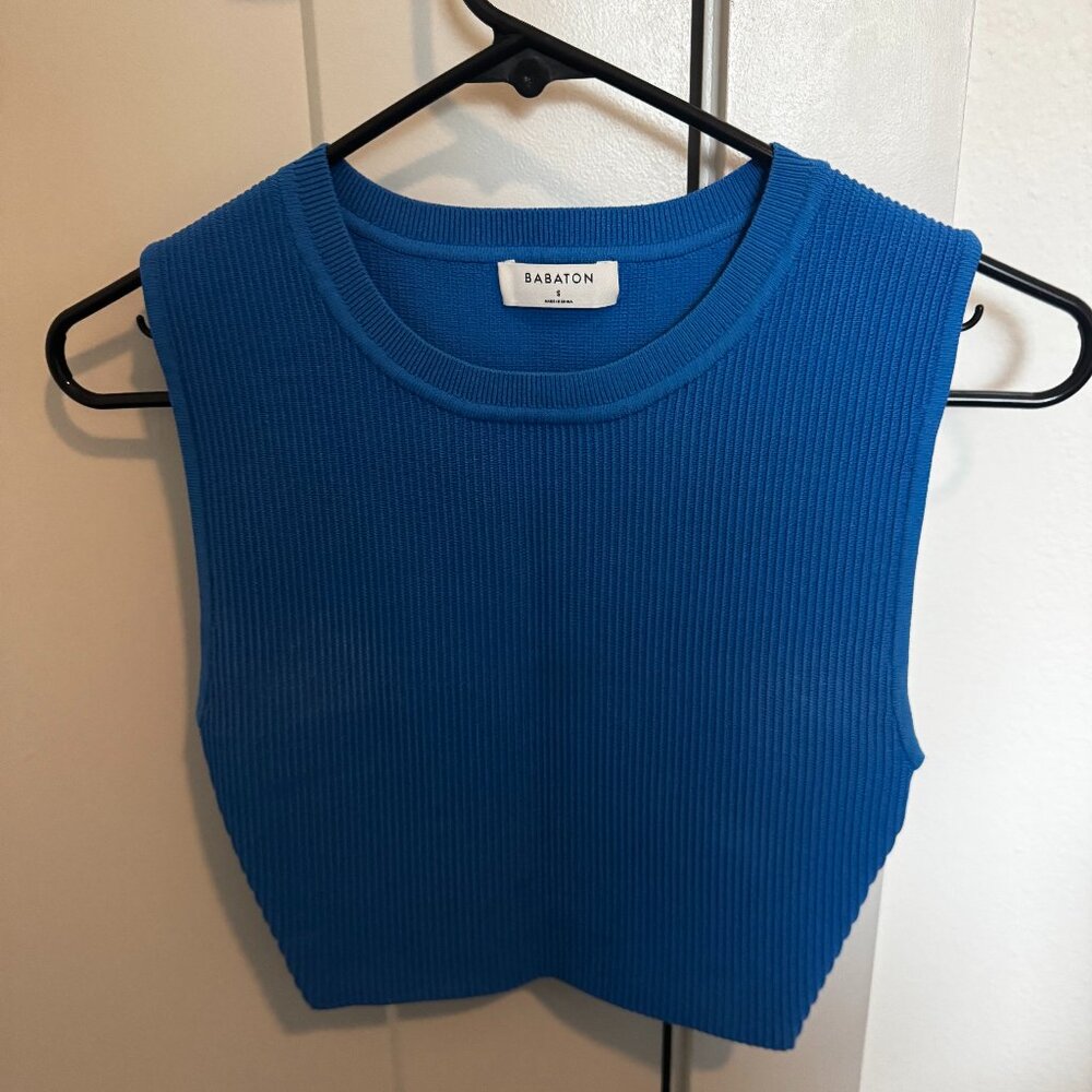 Aritzia Babaton Sculp Knit Top